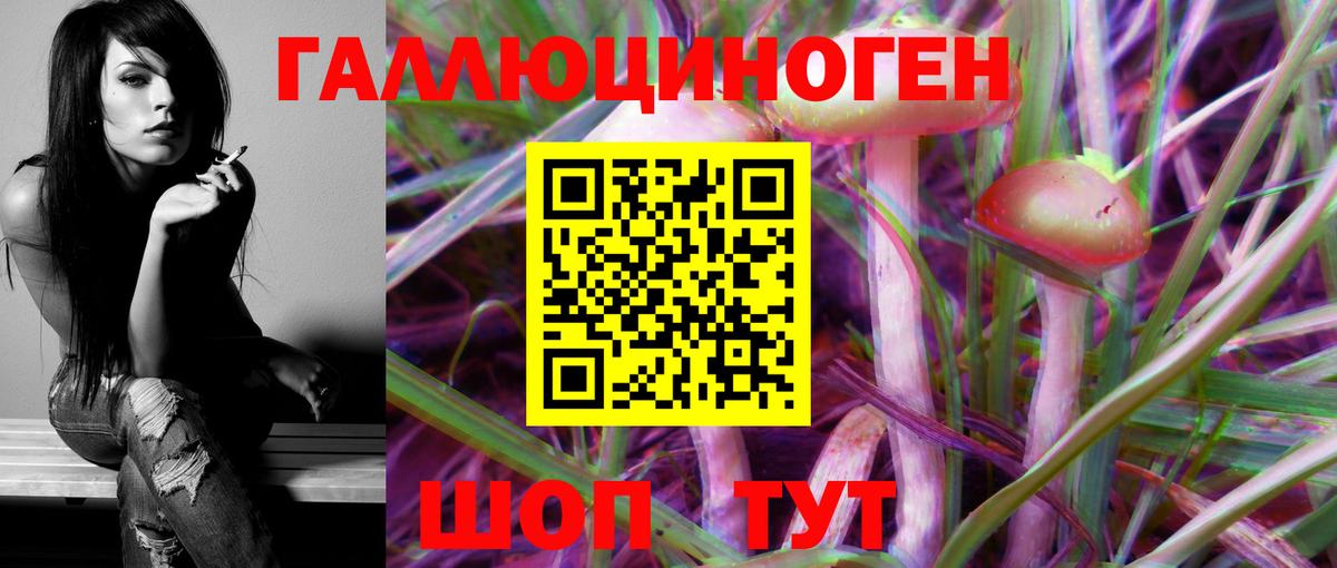 Псилоцибиновые грибы Psilocybe  Вход с VPN  Шали 